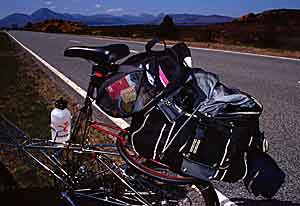 Pylon and luggage